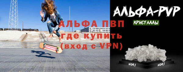 молекула духа Новозыбков