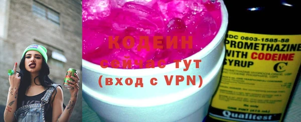 молекула духа Новозыбков