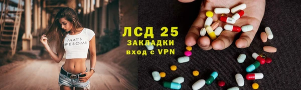 молекула духа Новозыбков