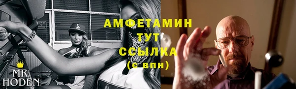 молекула духа Новозыбков