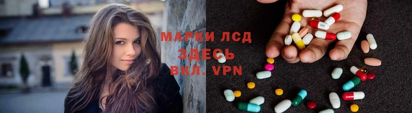 молекула духа Новозыбков