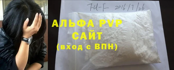 молекула духа Новозыбков