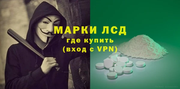молекула духа Новозыбков