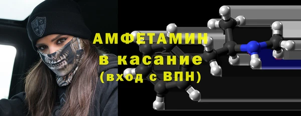 молекула духа Новозыбков