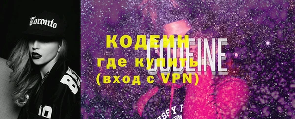 молекула духа Новозыбков