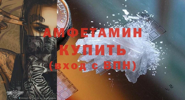 молекула духа Новозыбков