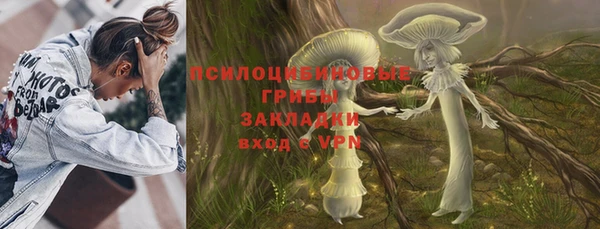 ПСИЛОЦИБИНОВЫЕ ГРИБЫ Новодвинск