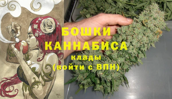 ПСИЛОЦИБИНОВЫЕ ГРИБЫ Новодвинск
