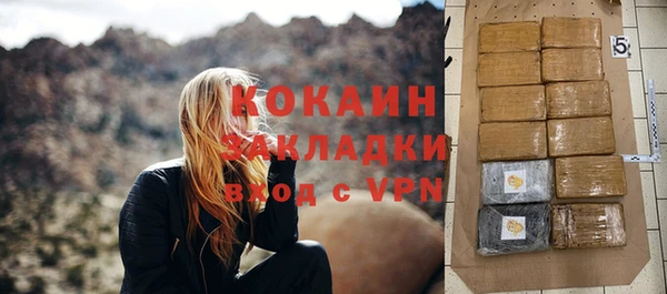 молекула духа Новозыбков