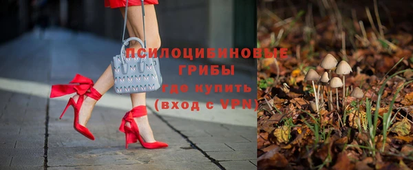 молекула духа Новозыбков