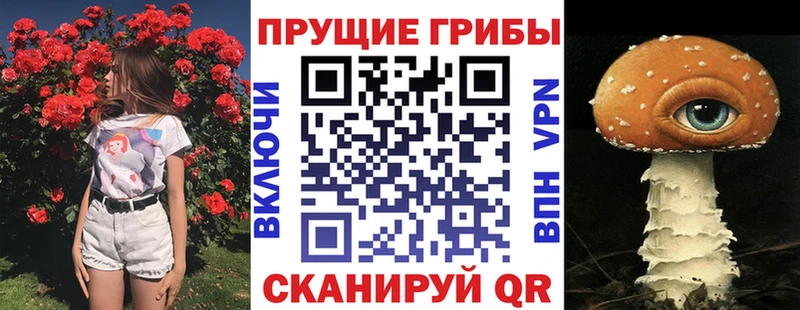 Псилоцибиновые грибы Psilocybine cubensis Приозерск