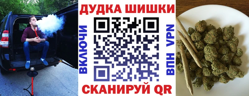 купить закладку  Приозерск  Шишки марихуана планчик 